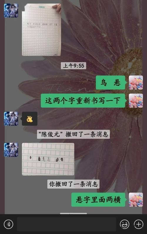 线下线上无缝衔接，智教乐学接续成长——乐学智教信息平台赋能教育新生态